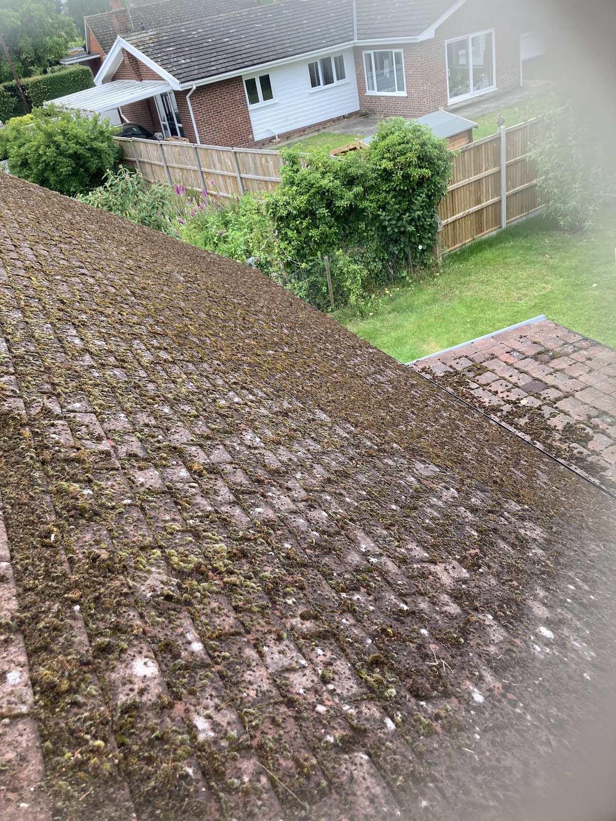 Roof before moss removal